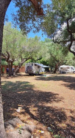 Camping Lentiscella - Gli spazi