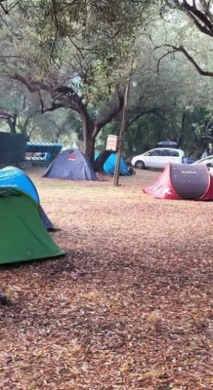 Camping Lentiscella - Gli spazi